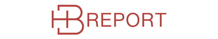 HB Report - Tracking Leadership, Power and Policy Across Africa